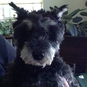 Meet your Posher, Mary ellen